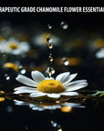 Kushty Chamomile Oil