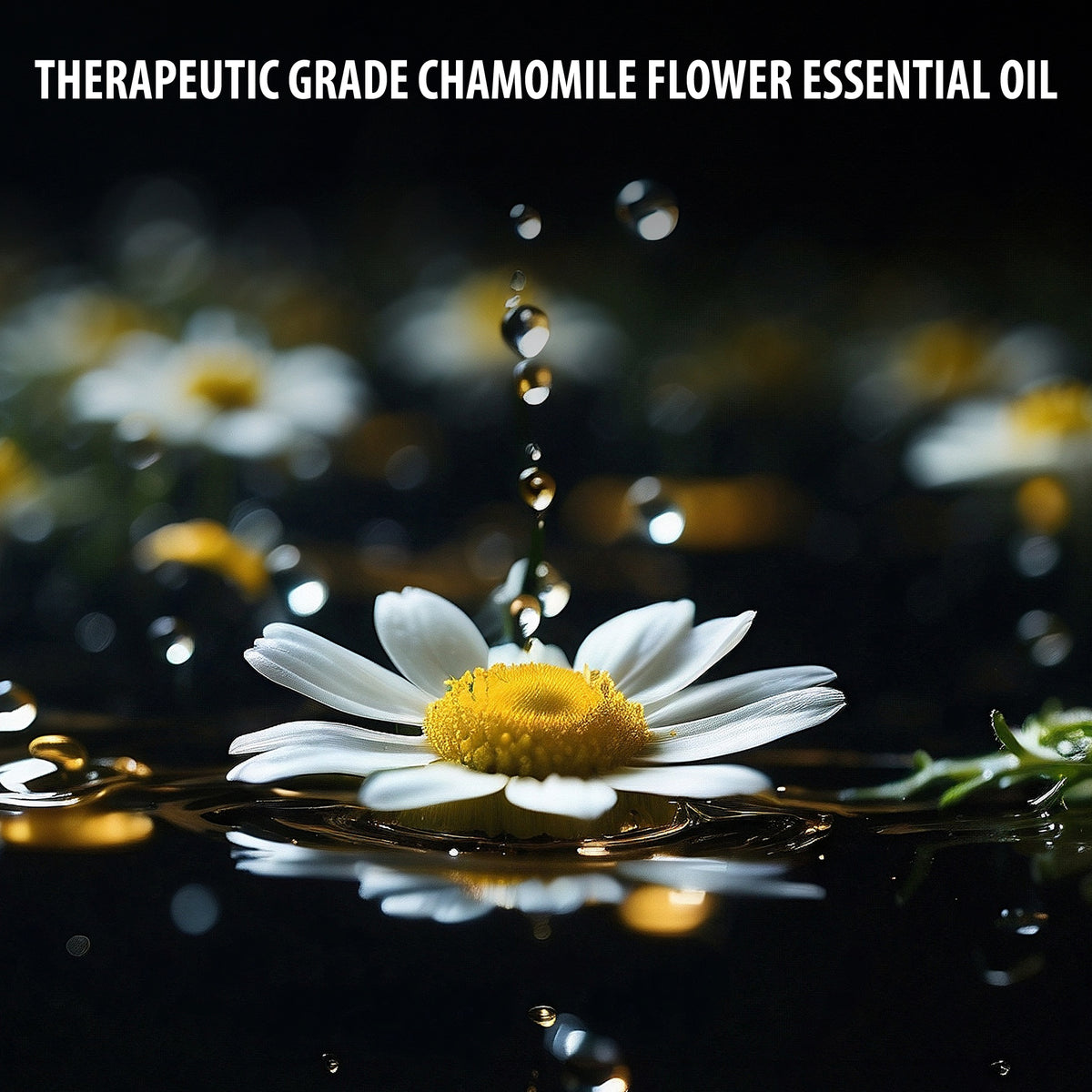Kushty Chamomile Oil